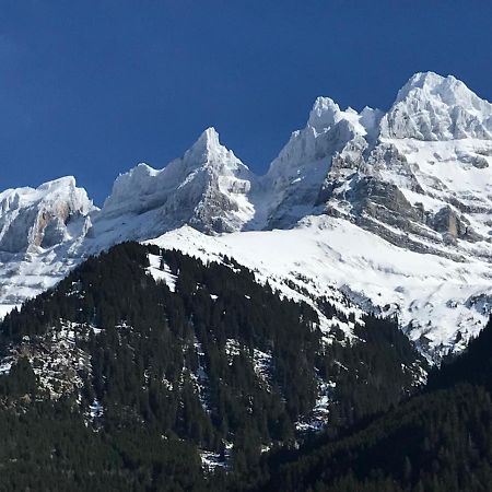 Chalet Hestia Champéry Zewnętrze zdjęcie